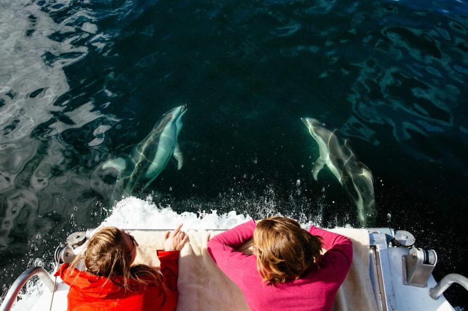 Nimmo Bay Resort en Canada