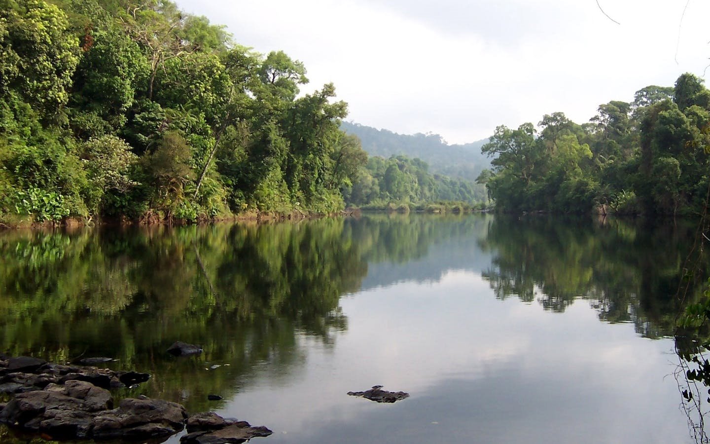 Cardamom National Park | LAT.40