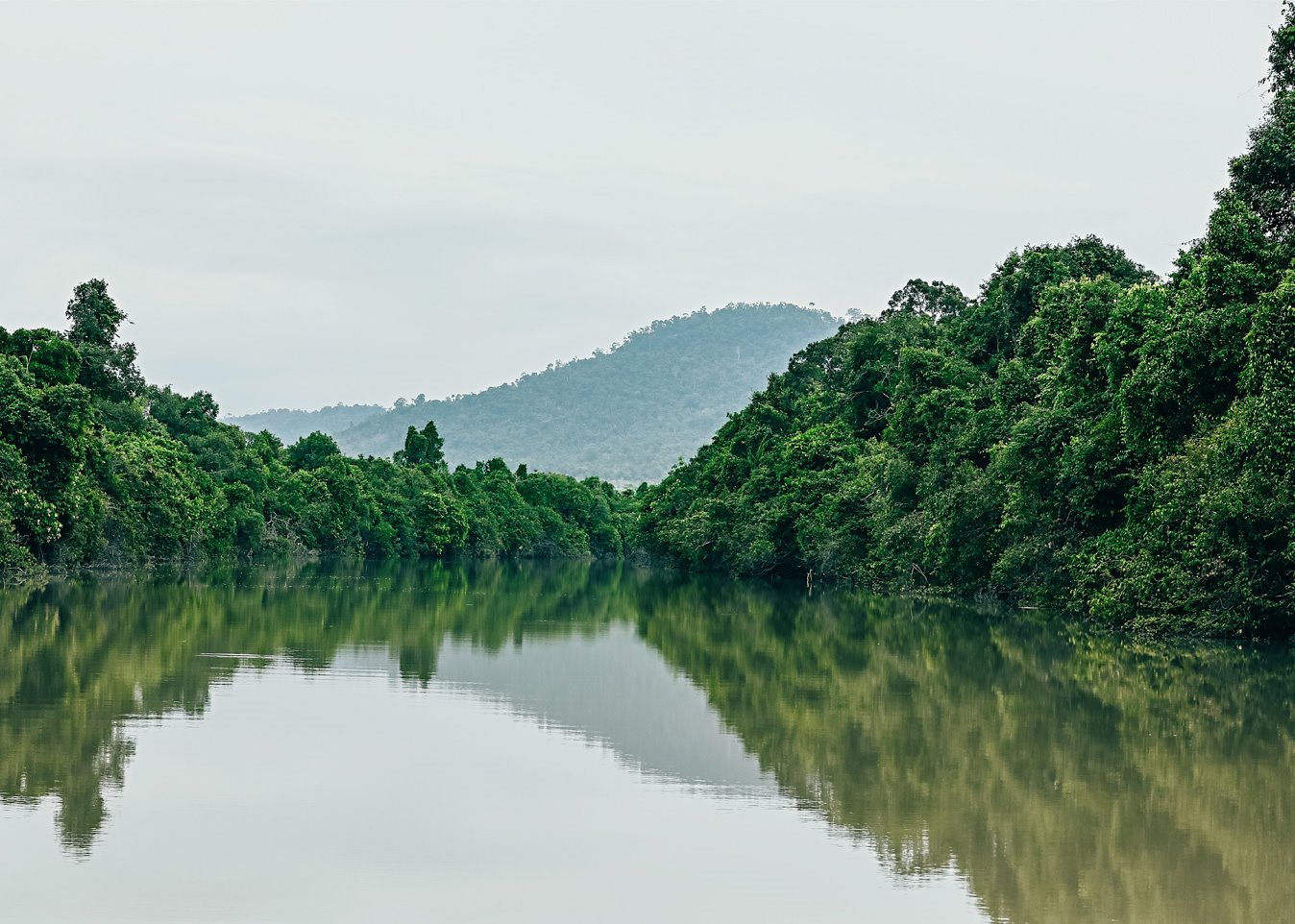 Shinta Mani Wild en Cardamom National Park