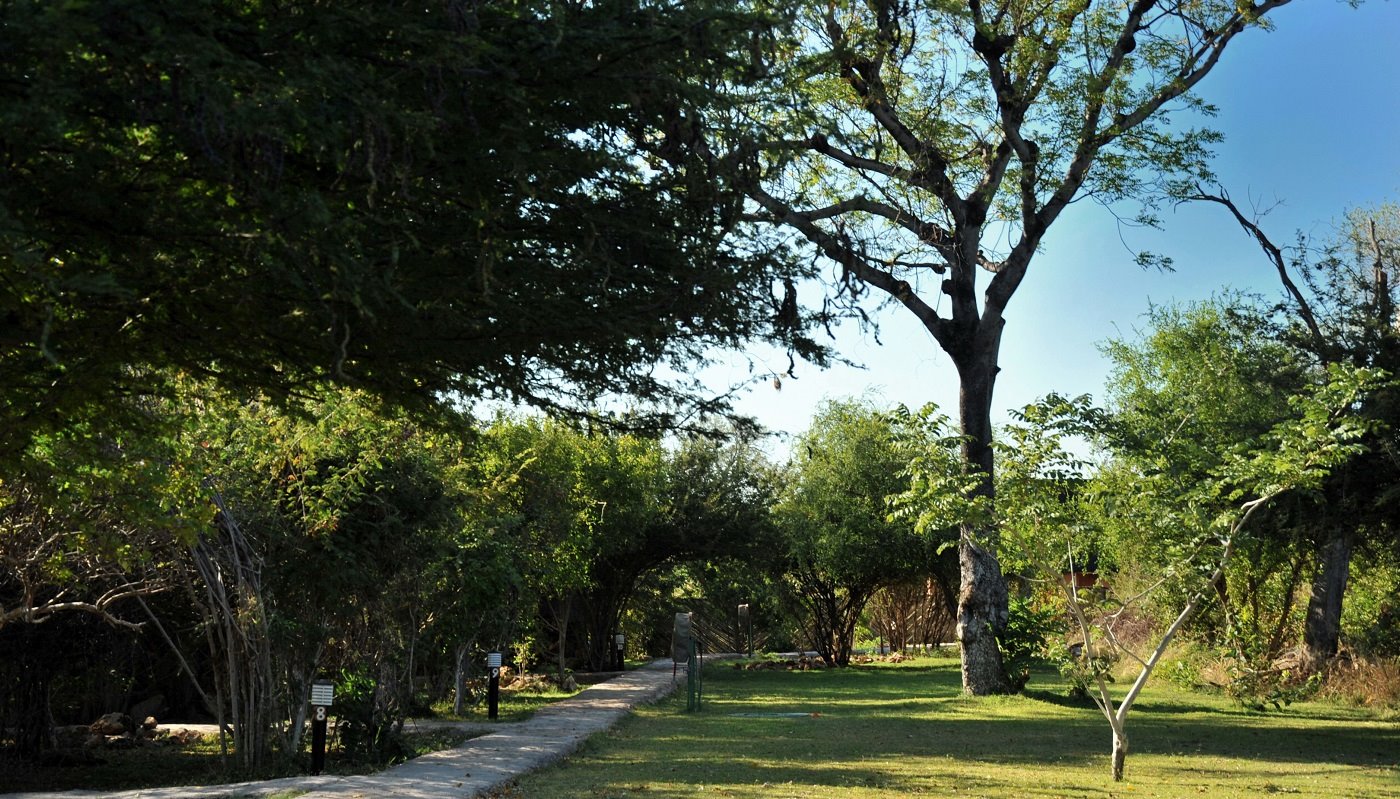 Muchenje Safari Lodge en Chobe