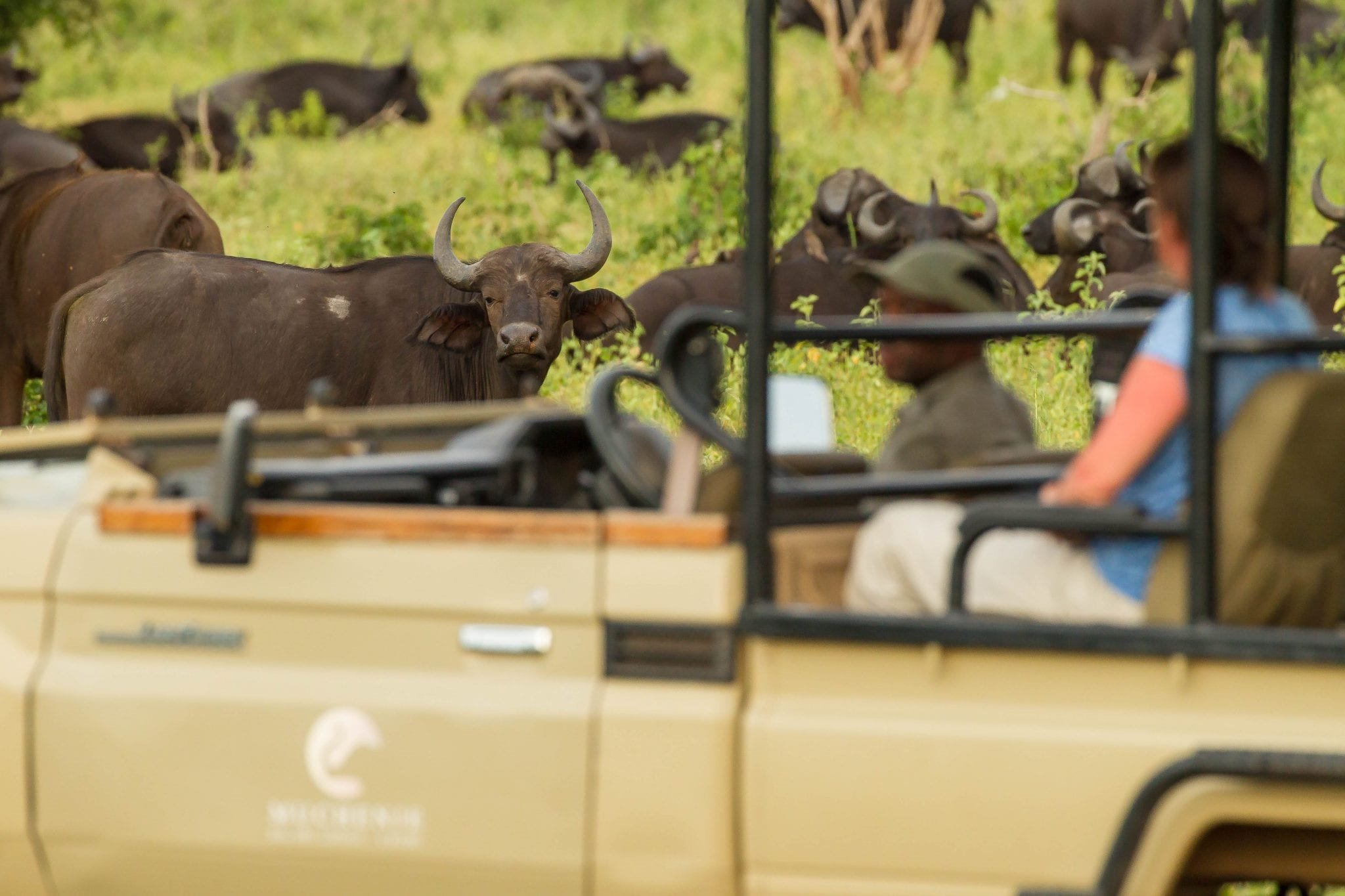 Muchenje Safari Lodge en Chobe