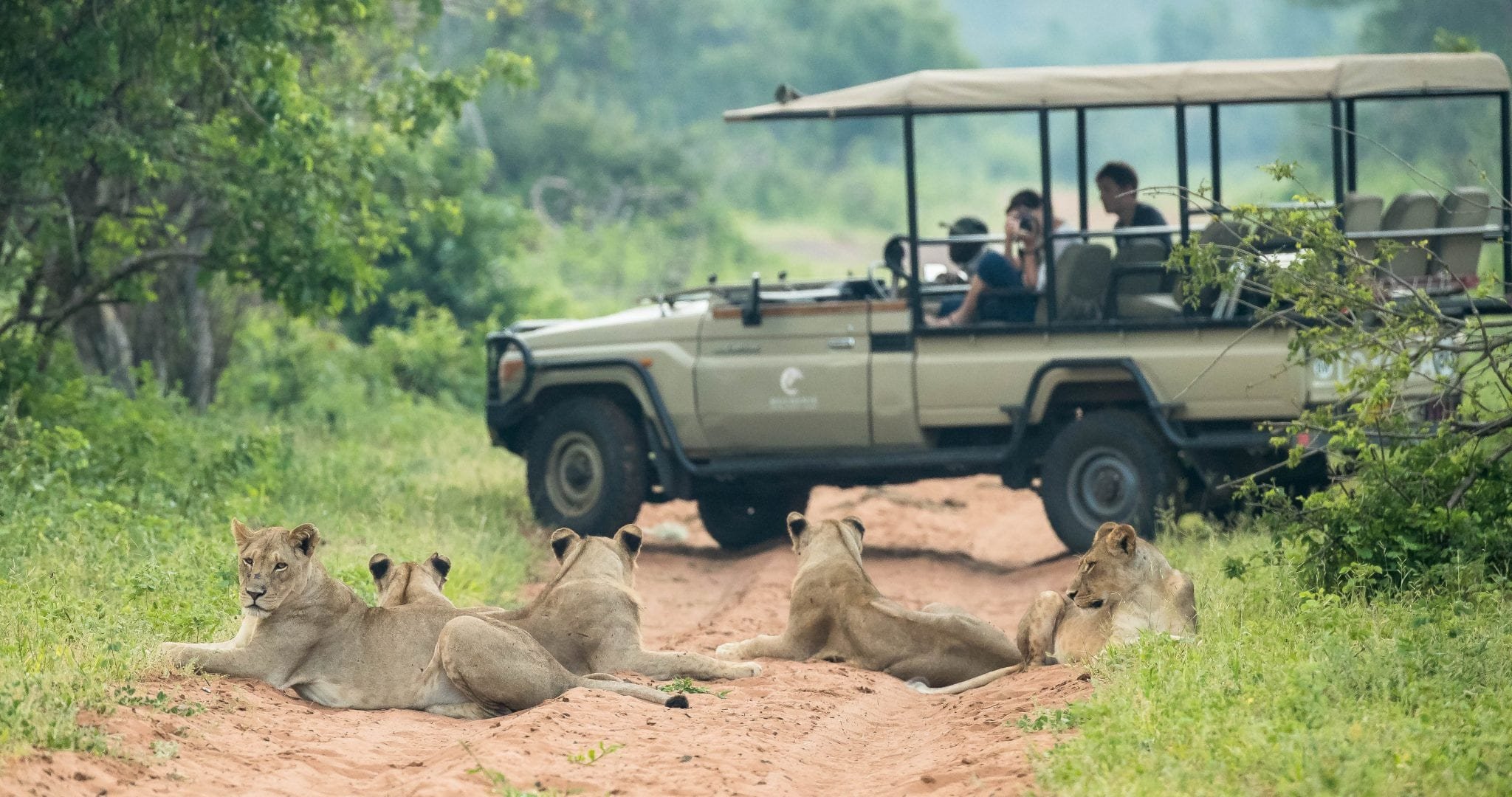 Muchenje Safari Lodge en Chobe
