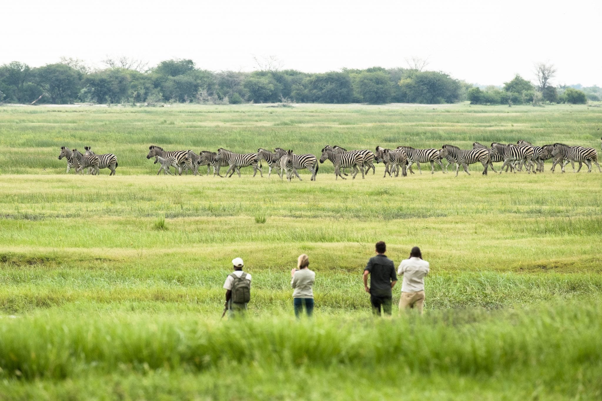 Muchenje Safari Lodge en Chobe