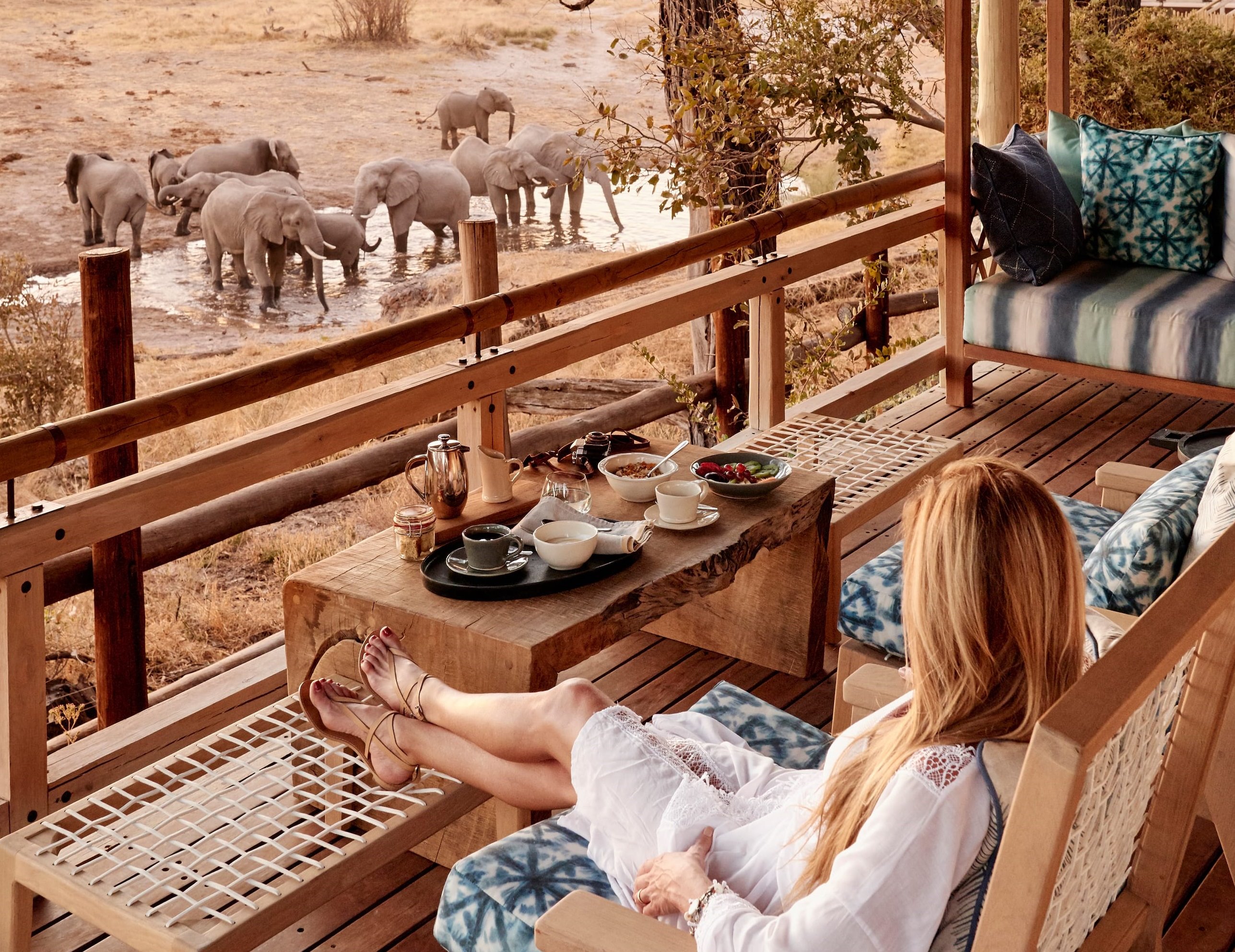 Belmond Savute Elephant Lodge en su destino