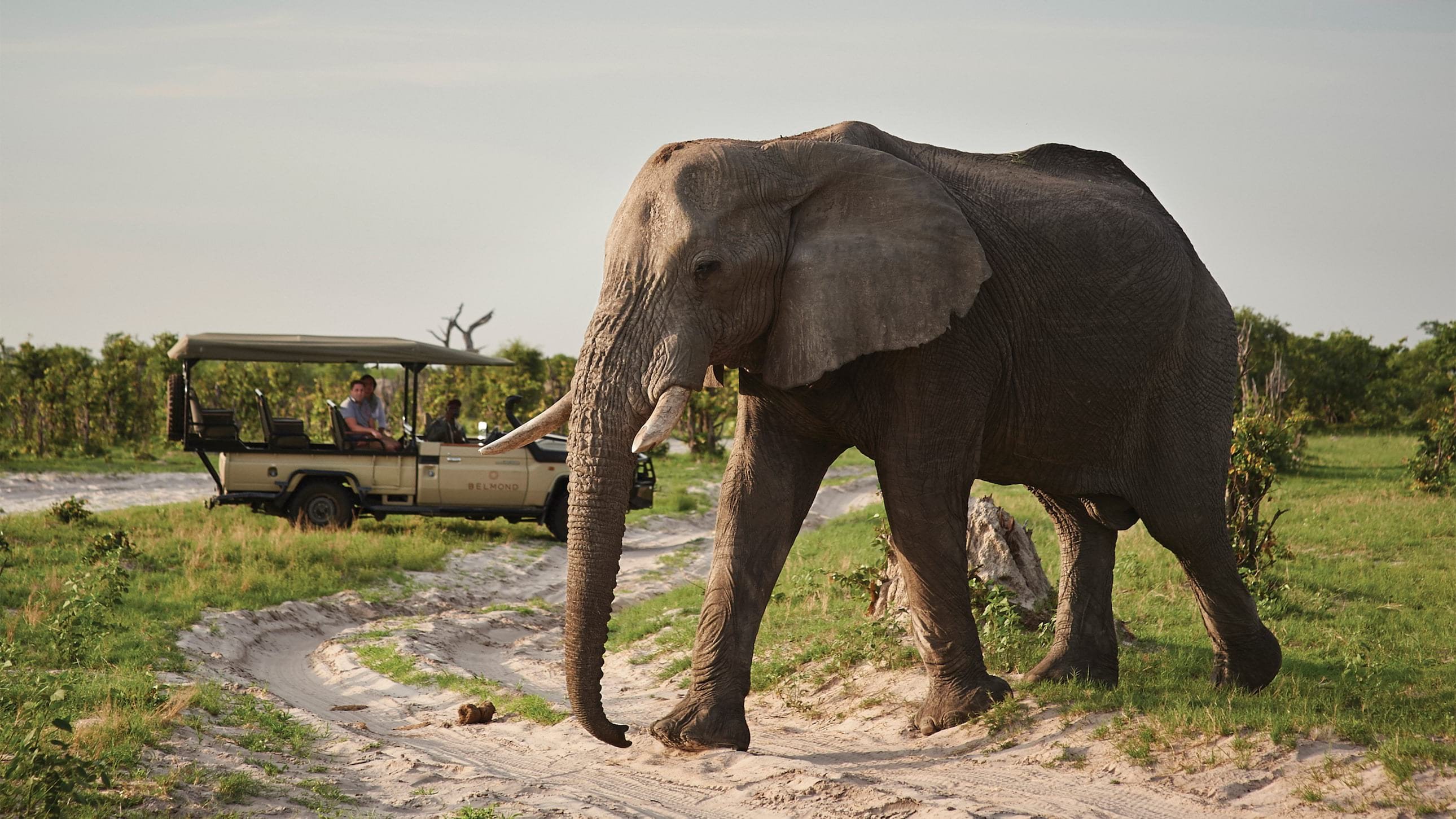 Belmond Savute Elephant Lodge en Chobe