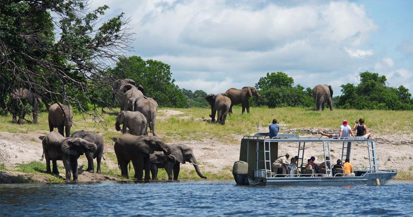 Zambezi Queen en Chobe