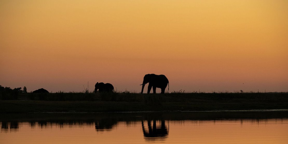 Zambezi Queen en Chobe