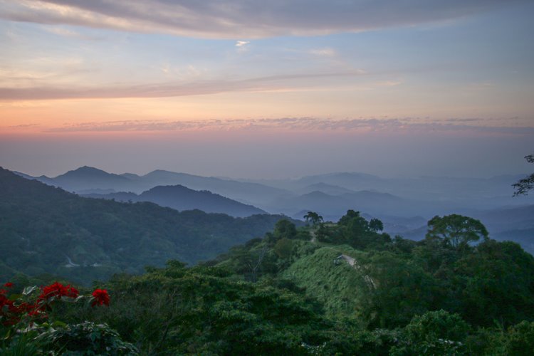 Casa Oropendola en Colombia