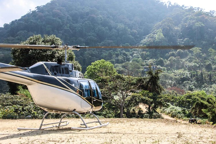 Casa Oropendola en Colombia