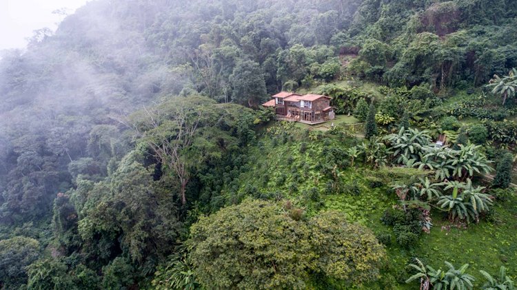 Casa Oropendola en Colombia