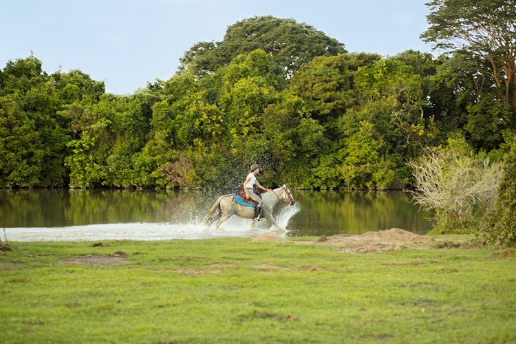 Corocora Camp en Colombia