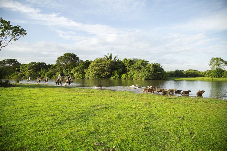 Corocora Camp en Colombia