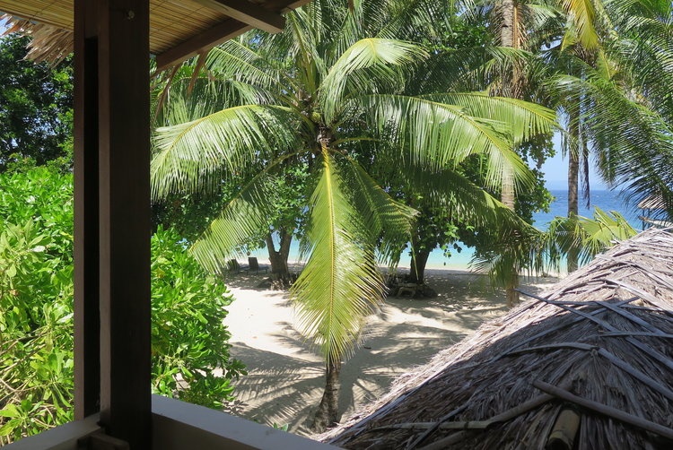 Coral Eye en Bangka Island