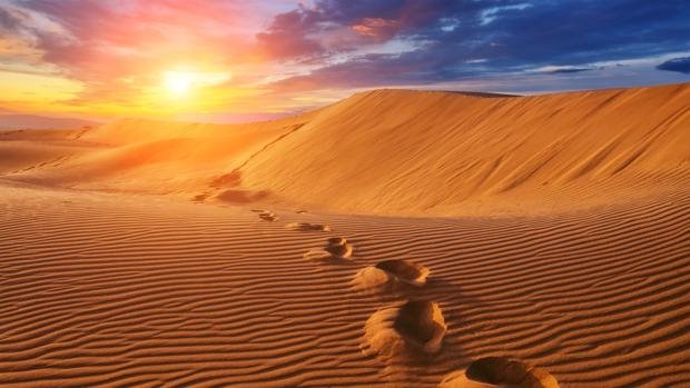 Desierto del Sahara | LAT.40
