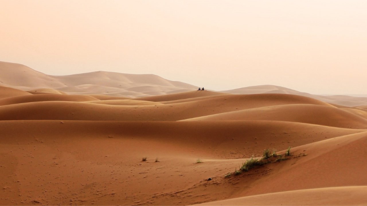 Desierto del Sahara | LAT.40