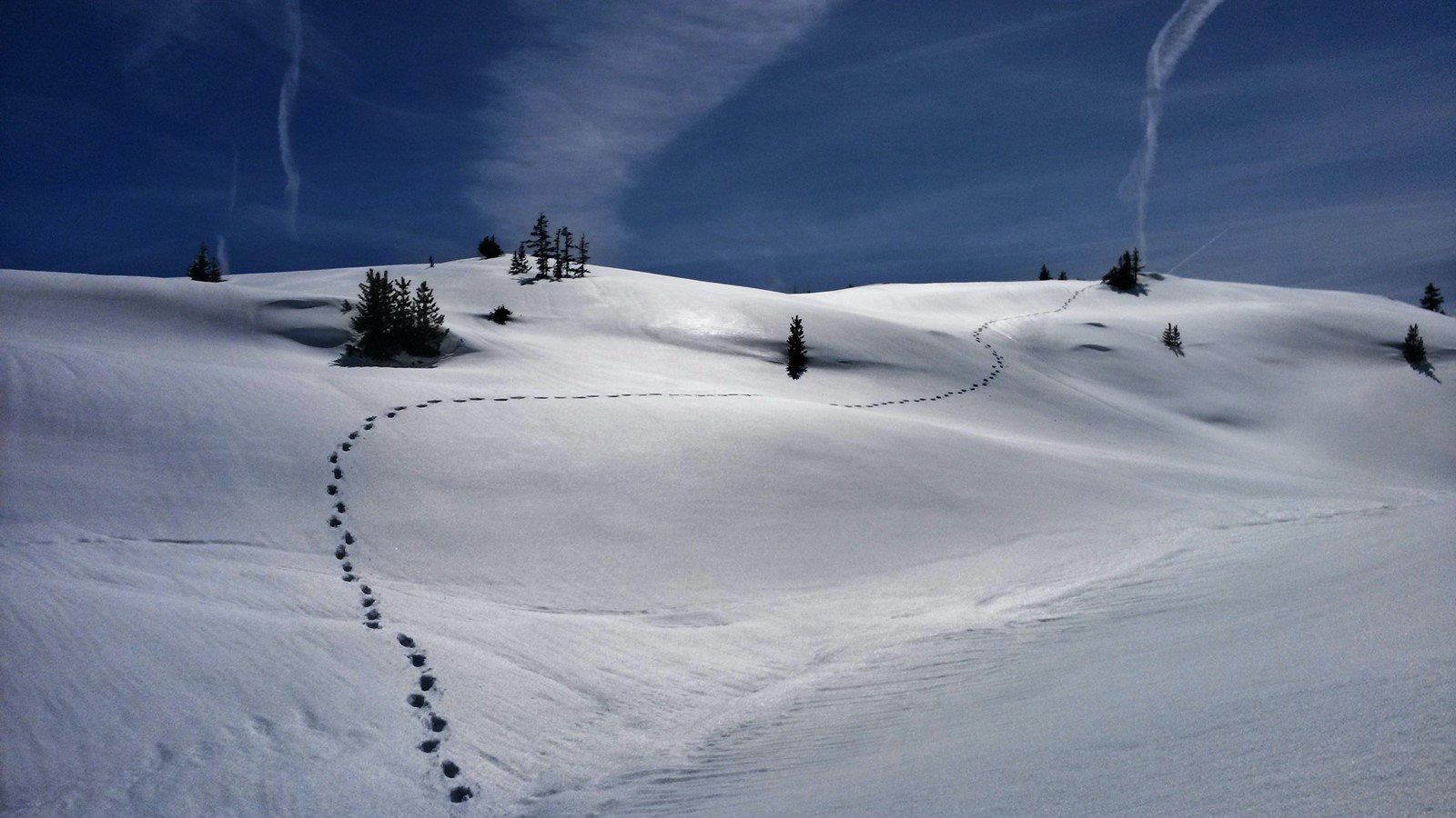 Forestis Dolomites en Alpe di Siusi