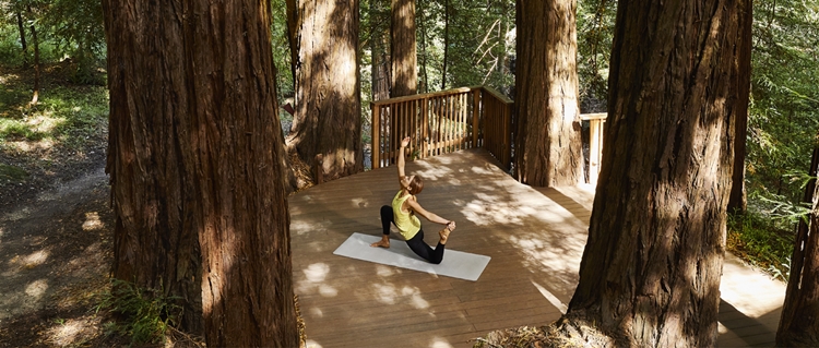 Canyon Ranch Woodside en United States