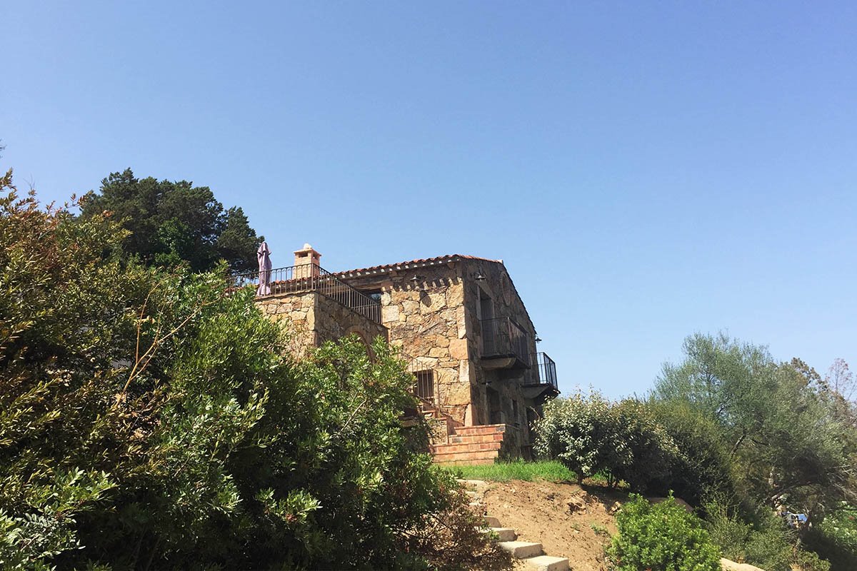 Les Oliviers de Palombaggia en France