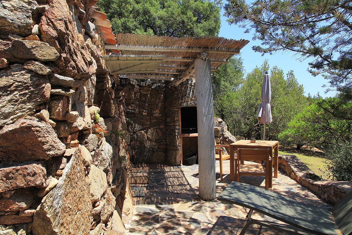 Les Oliviers de Palombaggia en France