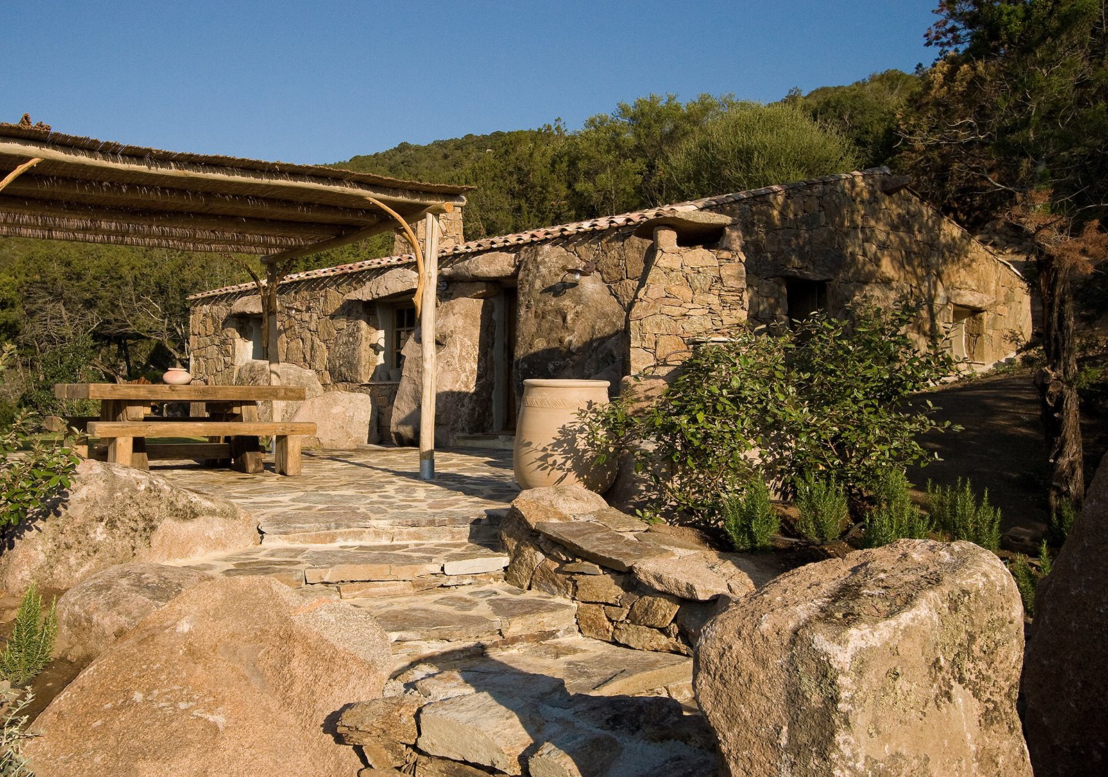 Les Oliviers de Palombaggia en France