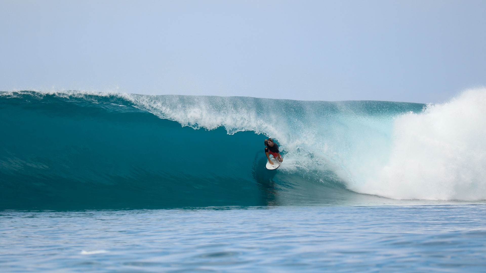 Hollow Tree's Resort en Islas Mentawai