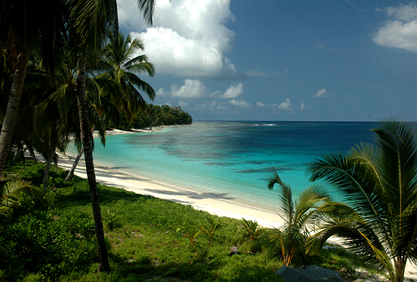 Hollow Tree's Resort en Islas Mentawai