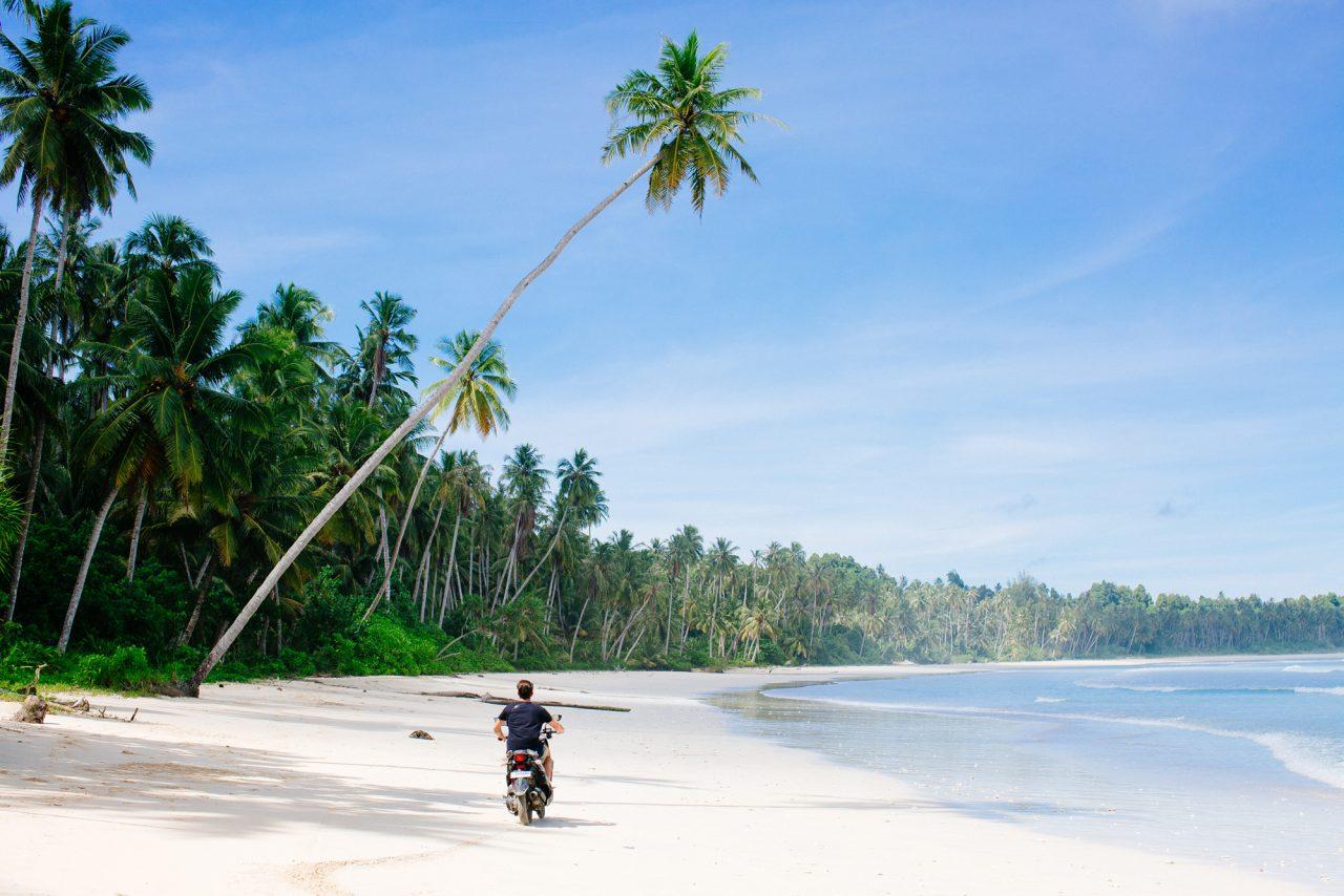 Hollow Tree's Resort en Islas Mentawai
