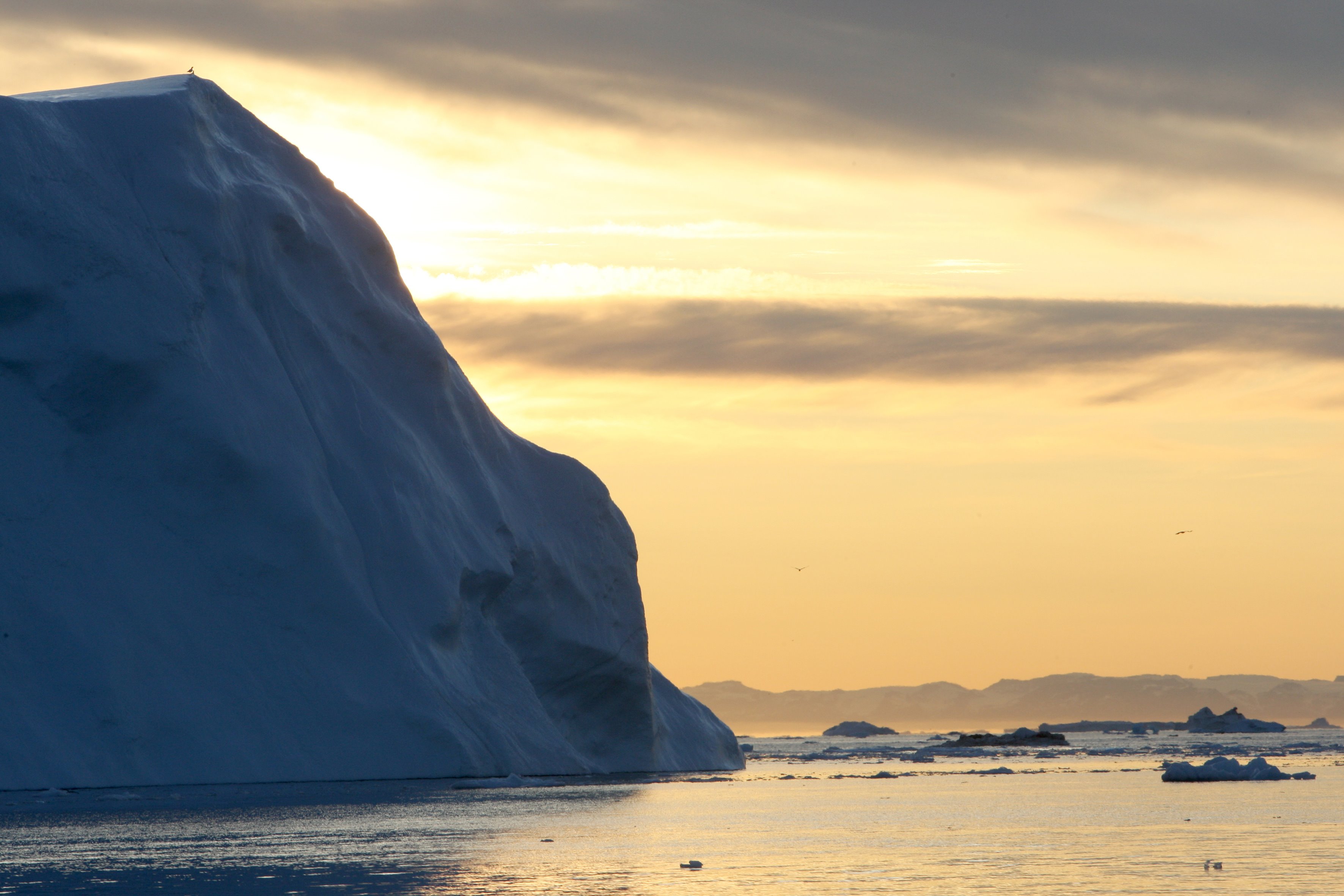Ilulissat | LAT.40
