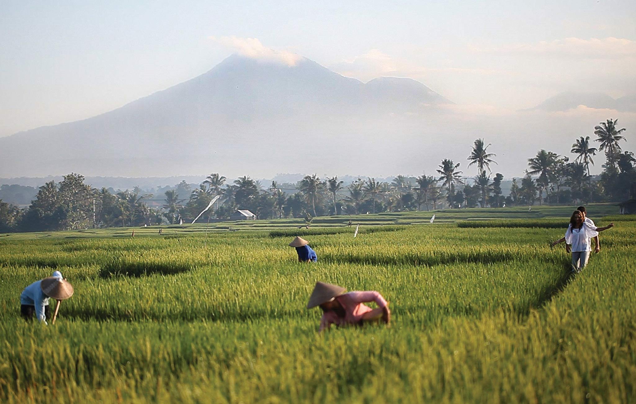 Soori Bali en Bali - Tabanan