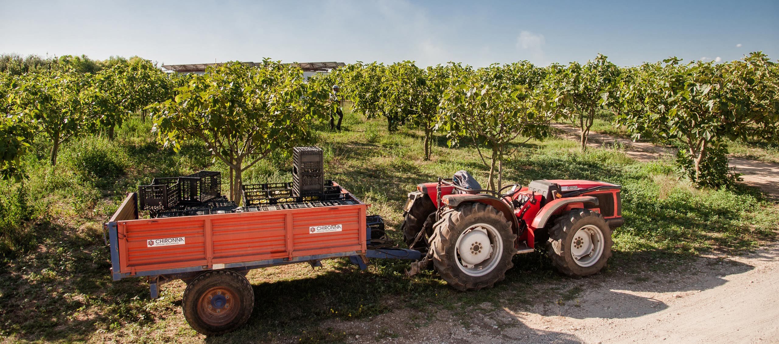 Furnirussi Tenuta en Italy