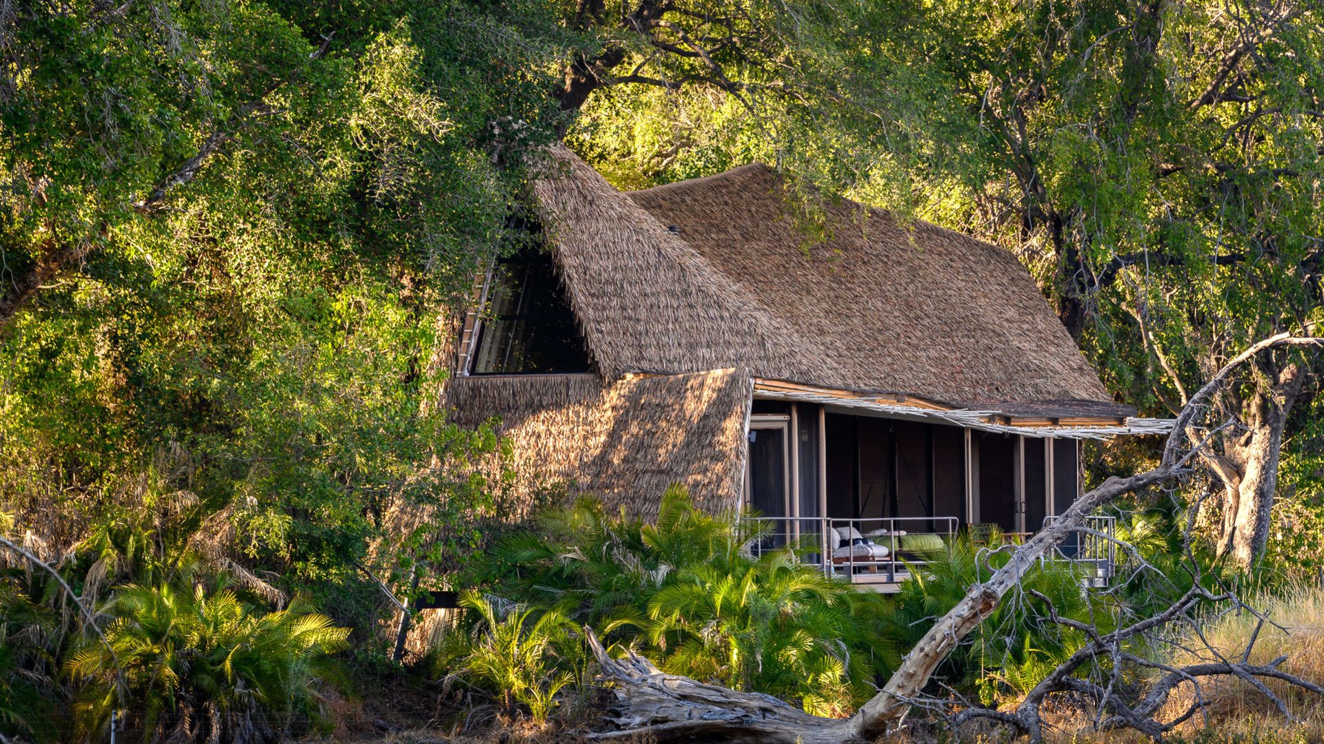 Jao Camp en Delta Okavango