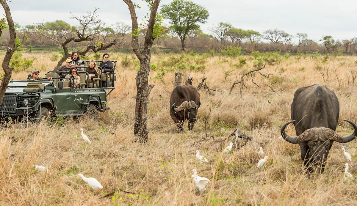 Singita Sweni Lodge en Singita Private Concession (Kruger)