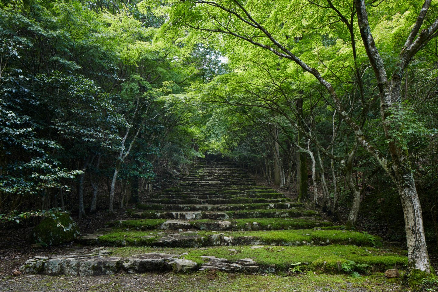 Aman Kyoto en Kyoto