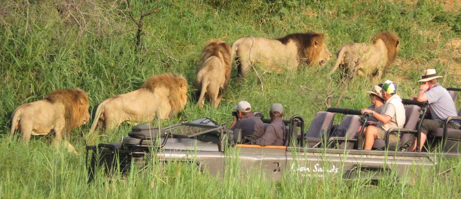 Lion Sands Ivory Lodge en Sabi Sands