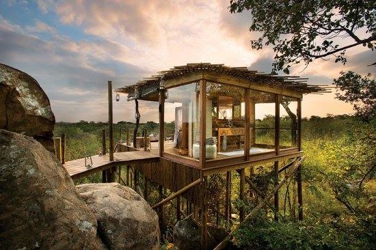 Lion Sands Ivory Lodge en Sabi Sands