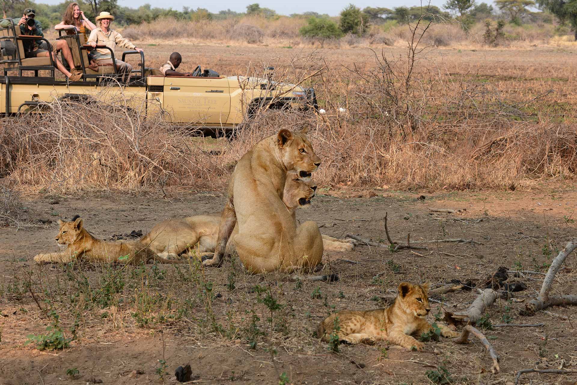 Sausage Tree Camp en Lower Zambezi