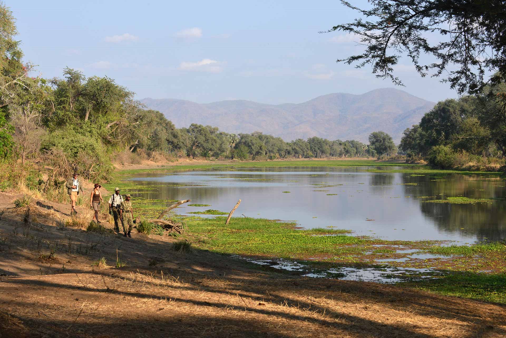 Sausage Tree Camp en Lower Zambezi