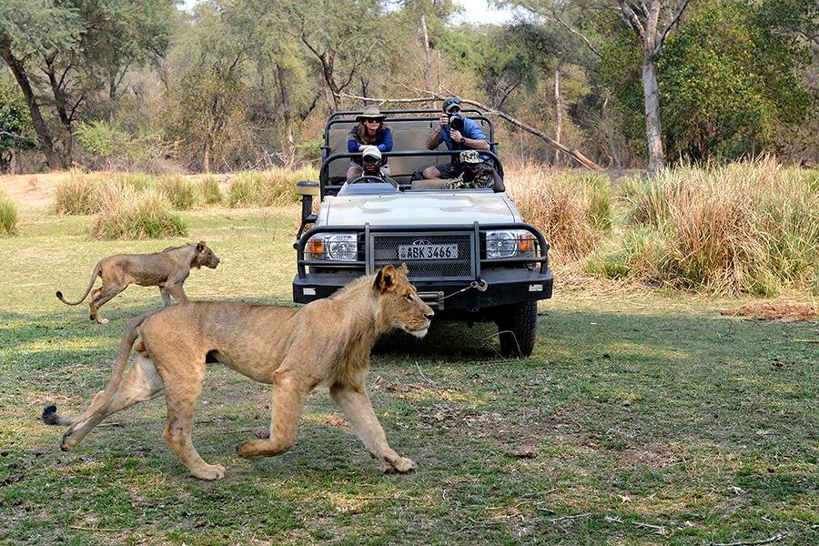 Sausage Tree Camp en Lower Zambezi