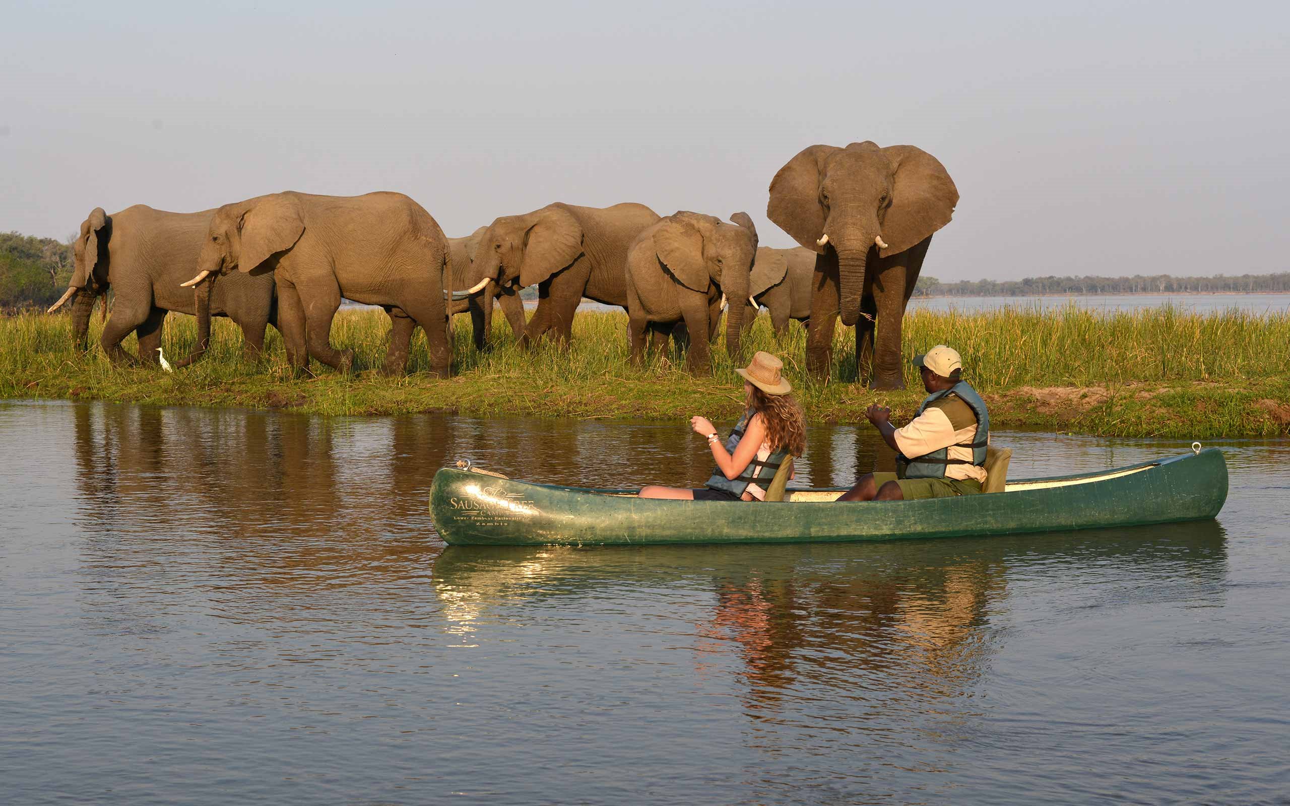 Sausage Tree Camp en Lower Zambezi