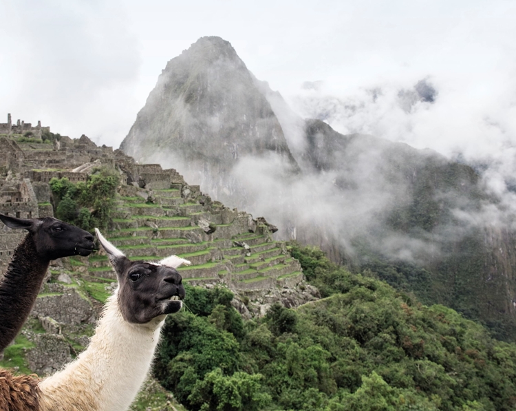 Belmond Hiram Bingham en Machu Picchu