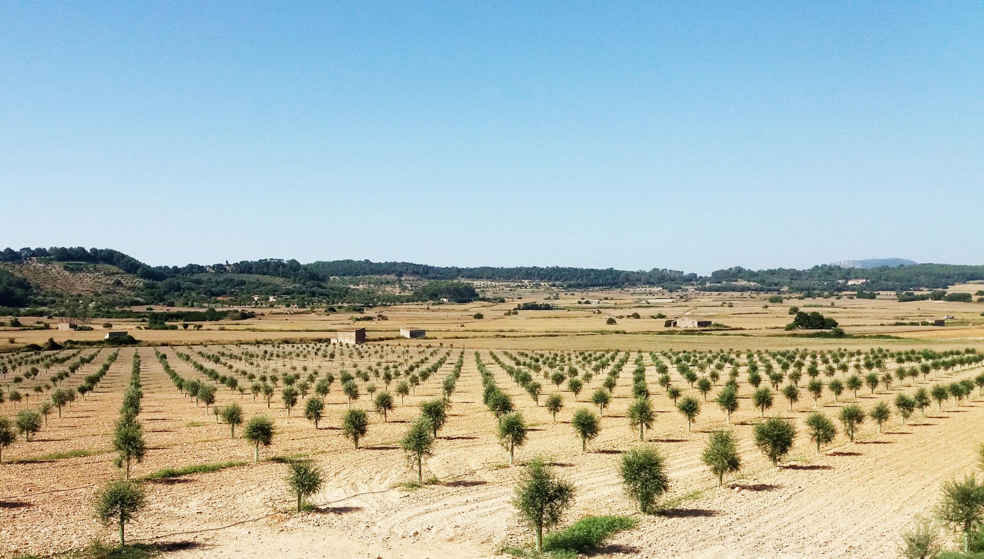 Agroturisme Gossalba en Mallorca