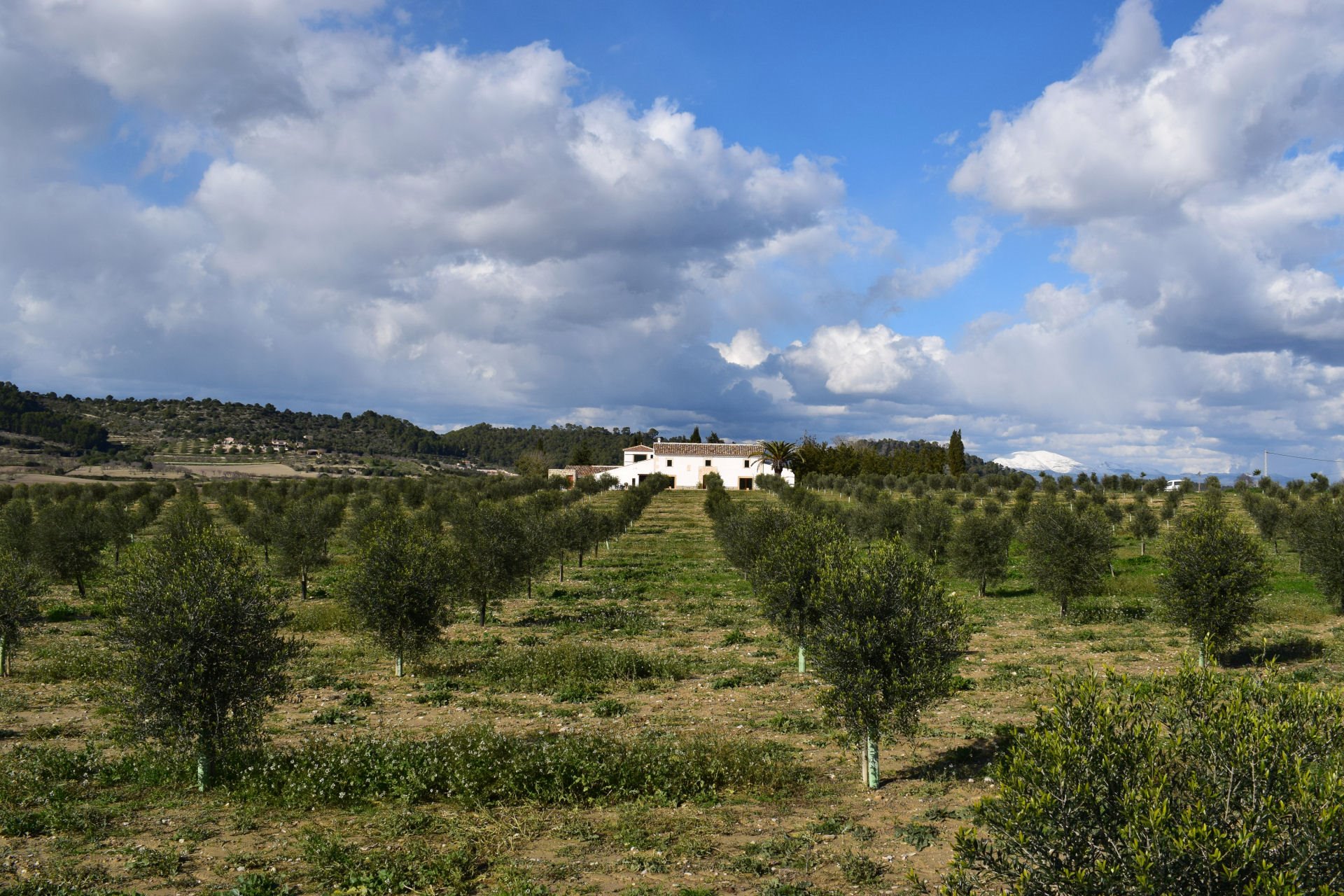 Agroturisme Gossalba en Mallorca