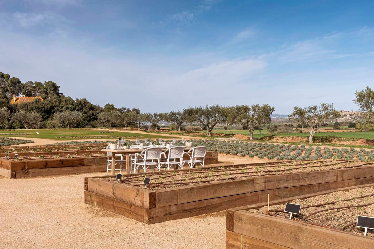 Mas de Torrent Hotel & SPA en Spain