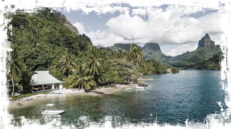 Robinson's Cove Villas en su destino