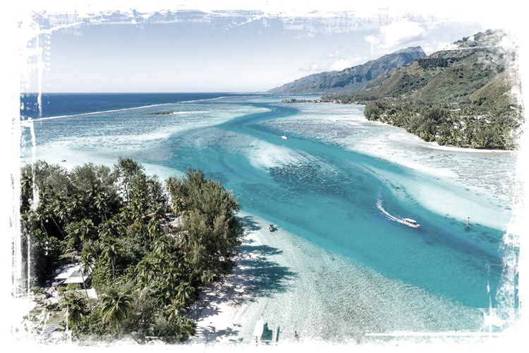 Robinson's Cove Villas en Moorea