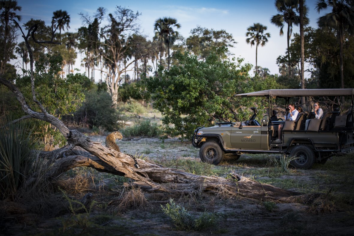 Mombo Camp en Moremi