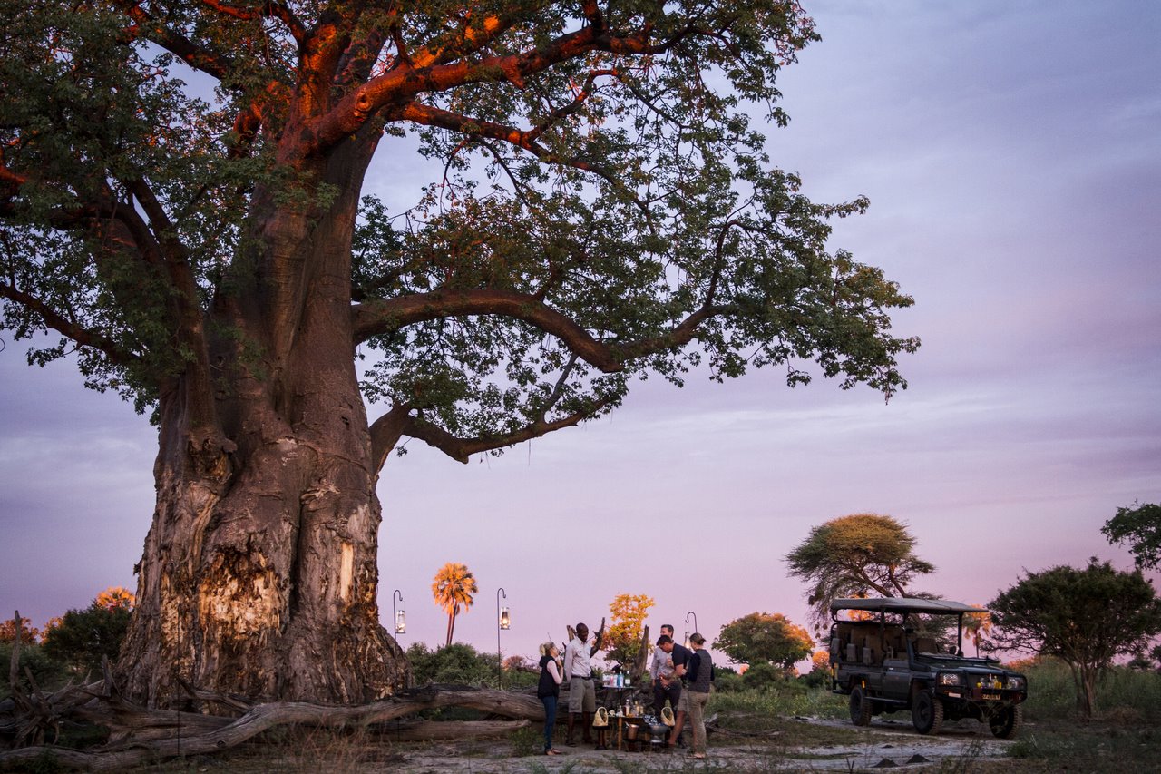 Mombo Camp en Moremi