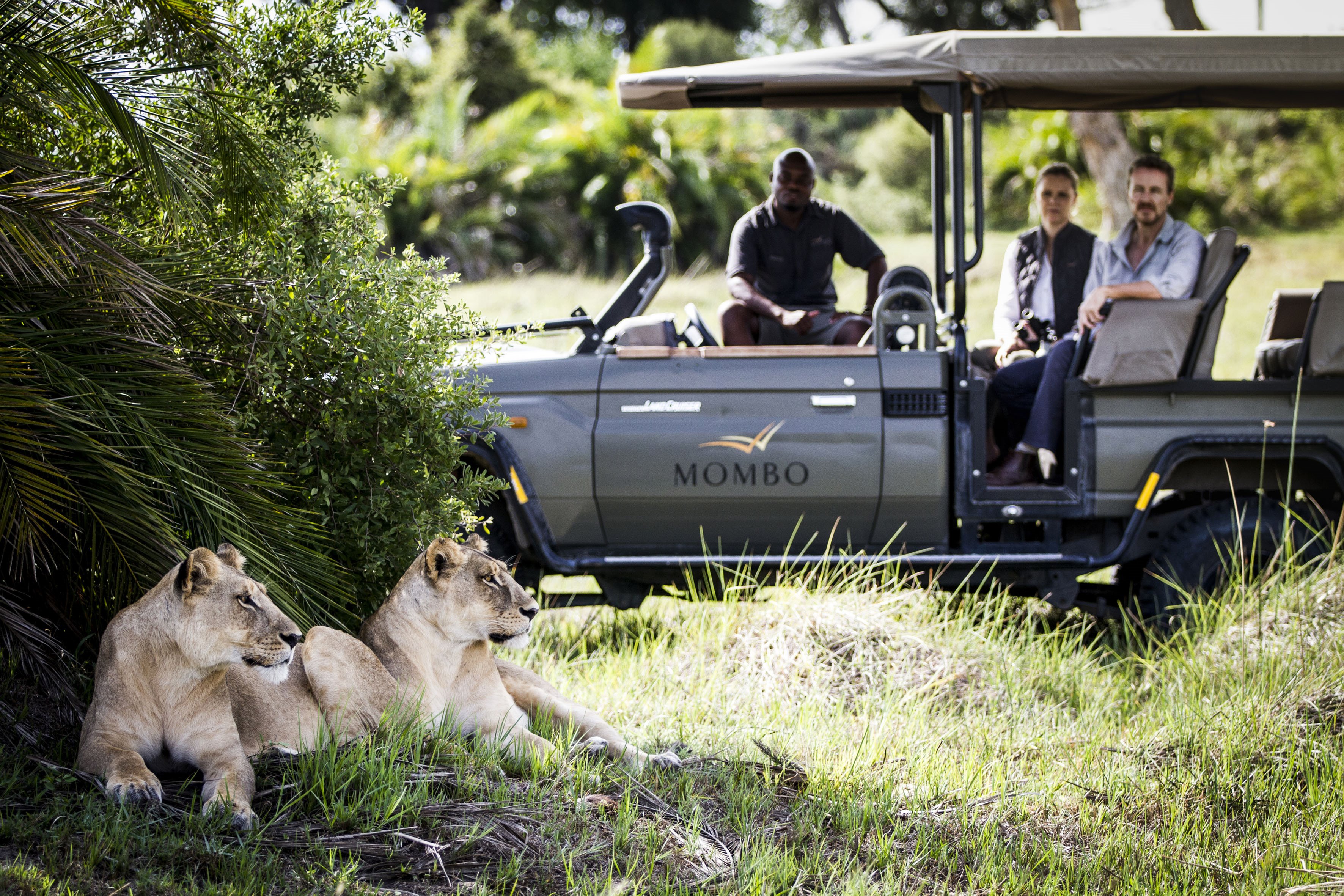 Mombo Camp en Moremi