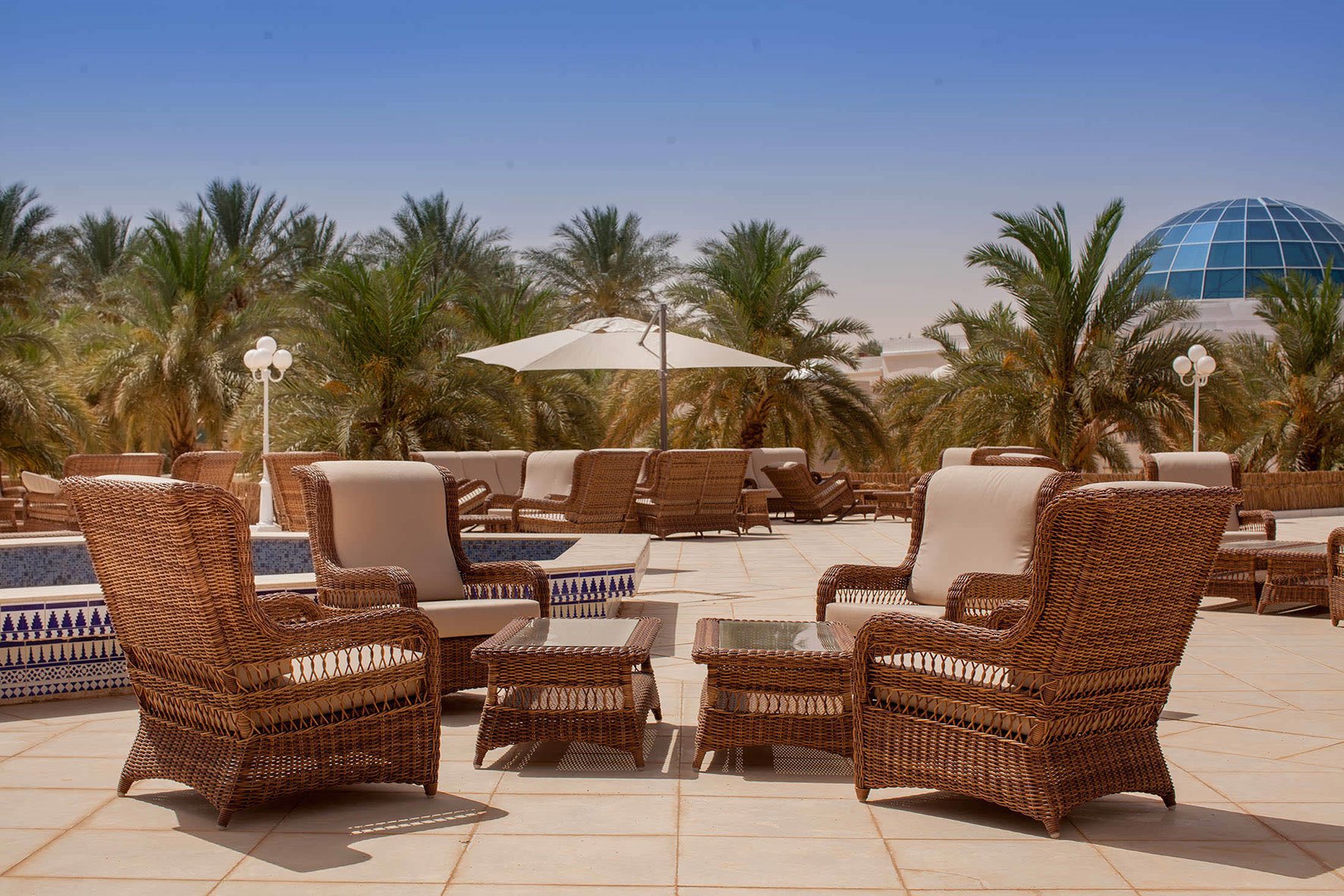 La Gazelle D'or en Morocco