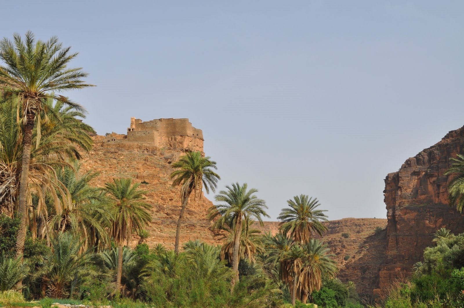 Les 3 Chameaux en Morocco
